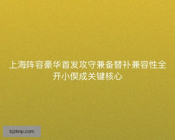 上海阵容豪华首发攻守兼备替补兼容性全开小偰成关键核心 上海阵容豪华首发攻守兼备替补兼容性全开小偰成关键核心